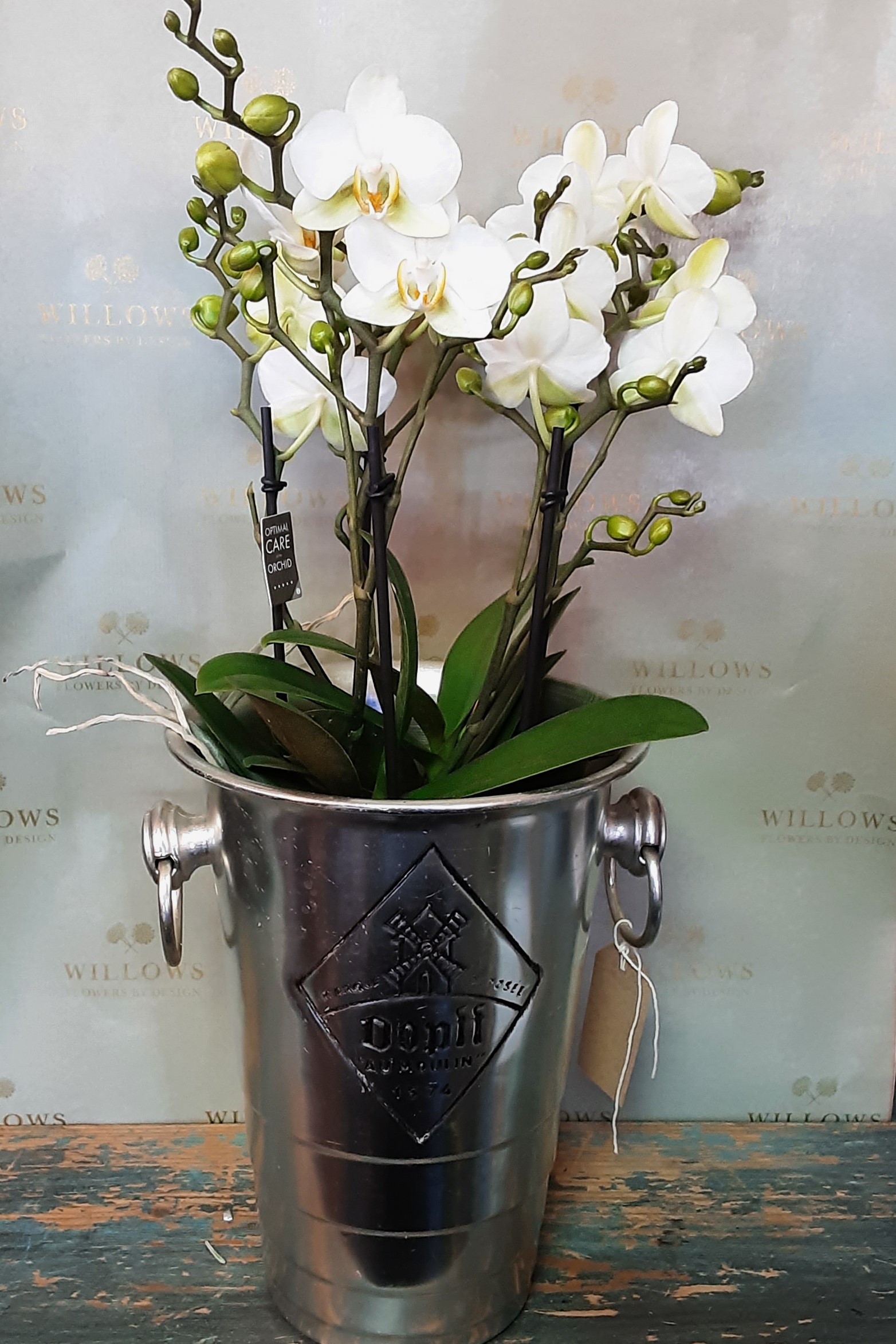 Champage Cooler with Orchids!